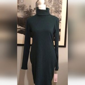 Turtleneck dress